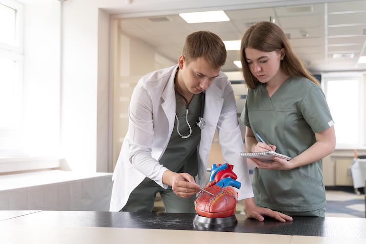 Cardiac Physiology