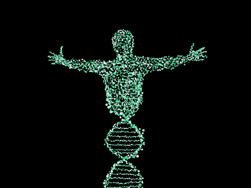 DNA Man A man made from DNA