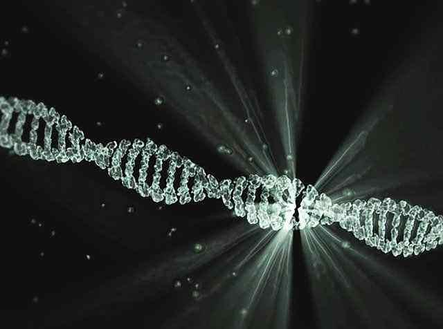 Genetic Inheritance Genetic Inheritance