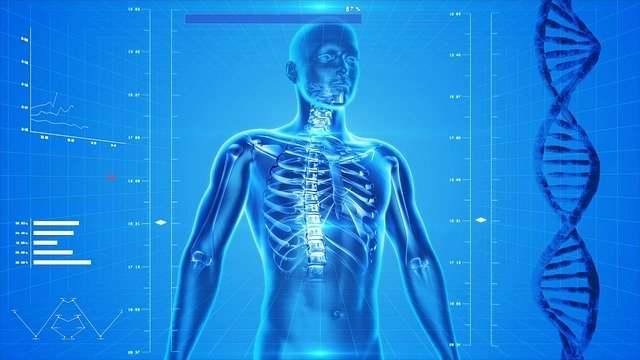 Human Biology Human Biology